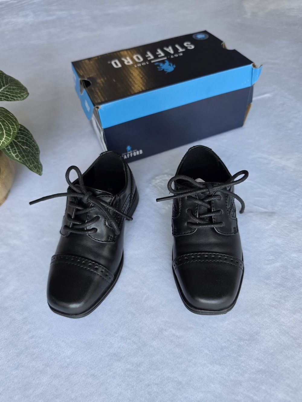 Stafford Kids Black Lace-Up Dress Shoes